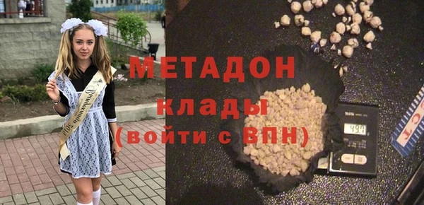 индика Арсеньев