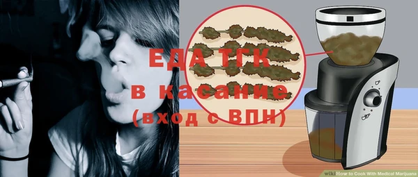 индика Арсеньев