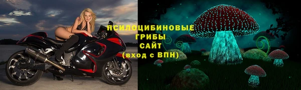индика Арсеньев