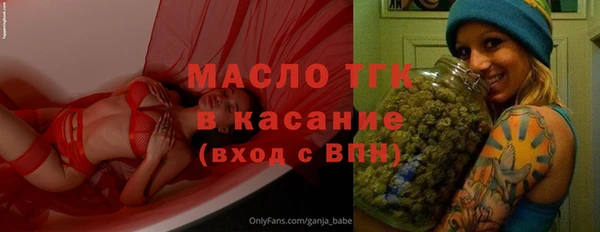индика Арсеньев