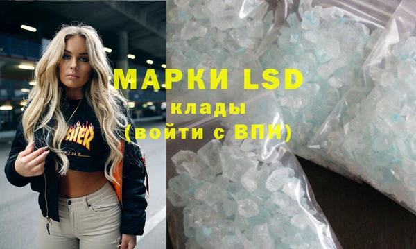 индика Арсеньев