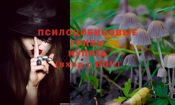 ешки Армянск